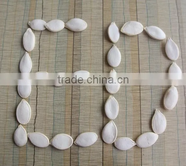 Crop 2015 Snow White Pumpkin Seeds 9cm up photo-3