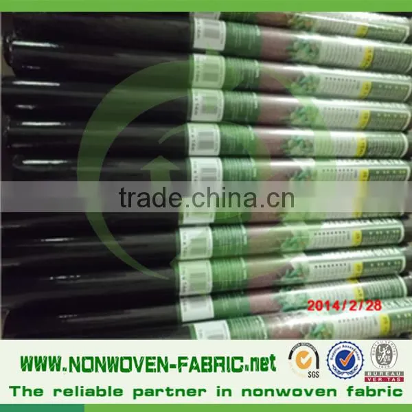 TNT Spunbond Nonwoven Fabric for Agricultural Freeze Protection,weed Control photo-4