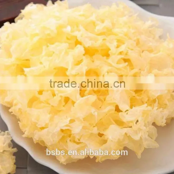 Low Price Tremella Chinese White Fungus photo-4