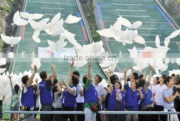 2016 Wedding Helium Inflatable Biodegradable White Dove Balloons For Wedding Decoration Doves Dhaped Bio Balloons Quality Choice photo-5