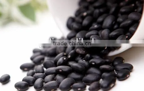 Canned Black Kidney Beans in Brine photo-4