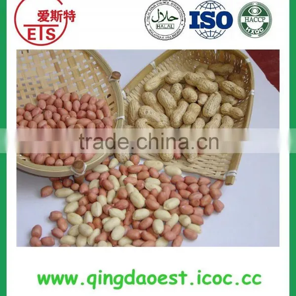 Offer Chinese Healthy Tasty Good Blanched Peanut for Sale photo-6