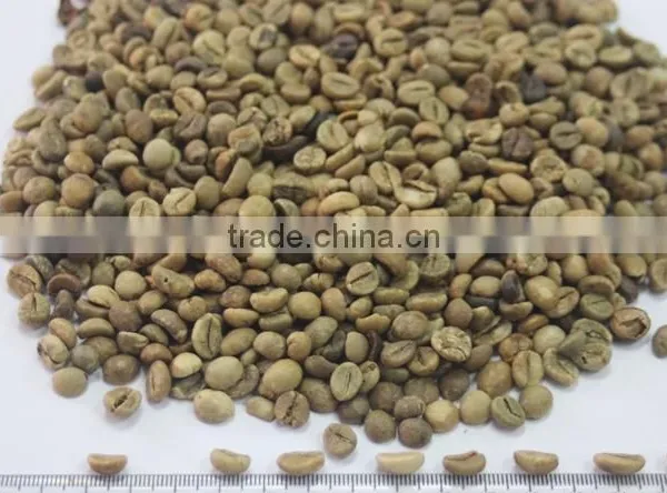 UNWASHED ROBUSTA GREEN COFFEE BEANS GRADE 1 SCREEN 18 photo-5