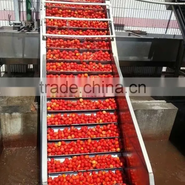 Fresh Tomato Paste 220L