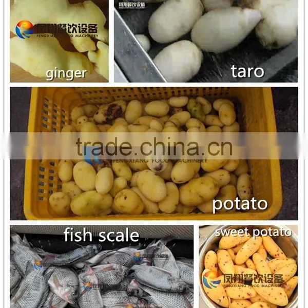 Industrial Commercial Automatic Potato Washing and Peeling Machine photo-6