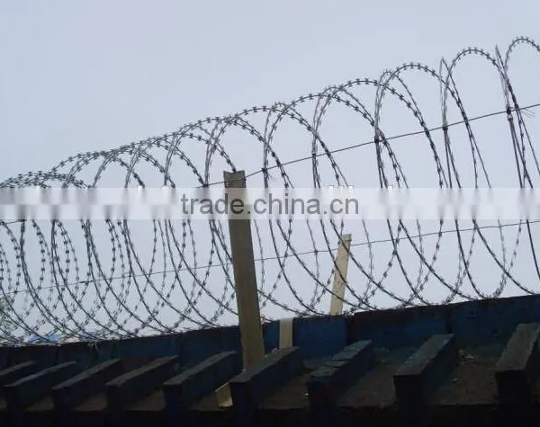 Factory Wholesale Hot-dipped Galvanized Razor Barbed Wire Mesh Fence photo-3