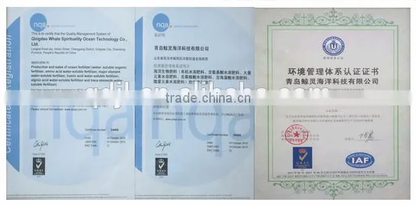 Chitosan Organic Fungicide and Fertilizer Liquid Fertilizer photo-4
