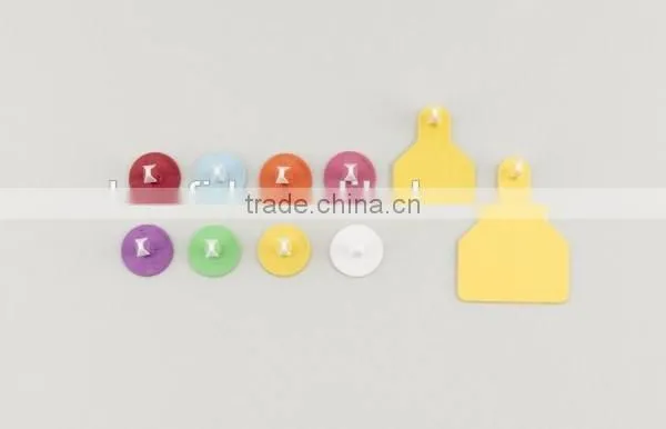 HF/ UHF Animal Identification Rfid Tag for Cattle/cow/ Livestock photo-3