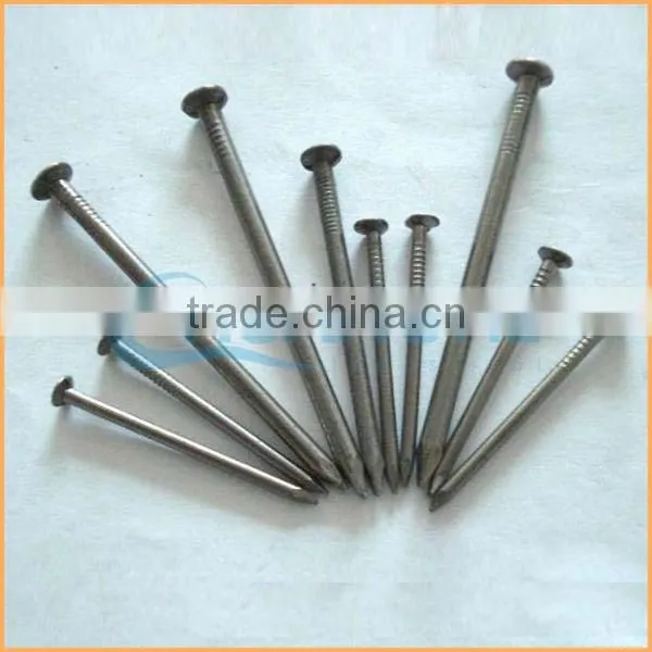 Manufacture High Quality Low Price Polished Common Round Head Iron Nails Wire Nails Common Nails photo-5