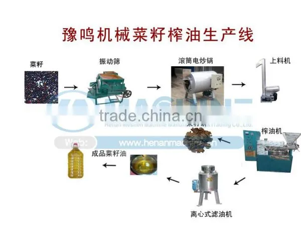 High Quality Sunflower Oil Making Machine and Sunflower Oil Press Machine photo-5