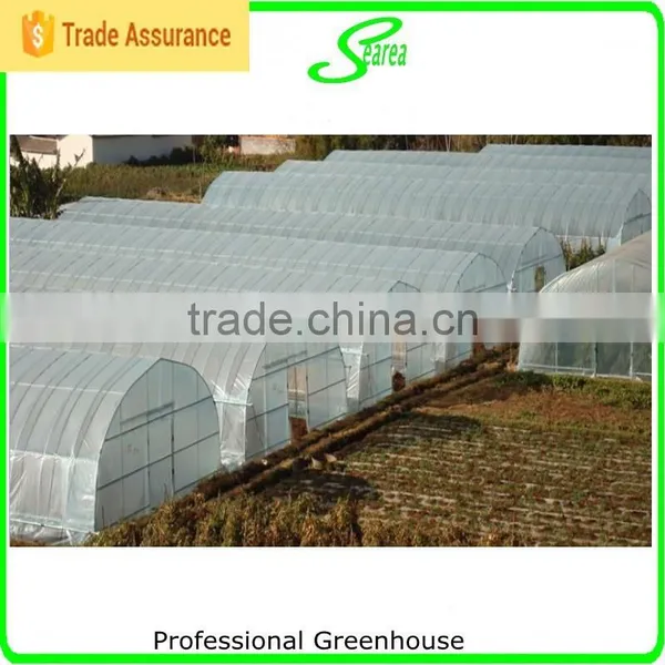 Easy Assemble Greenhouse for Tomatoes for Sale photo-3