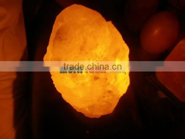 Himalayan Salt Lamp
