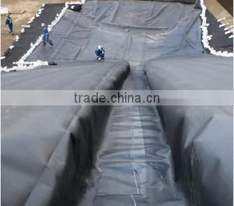HDPE Geomembrane Price photo-4