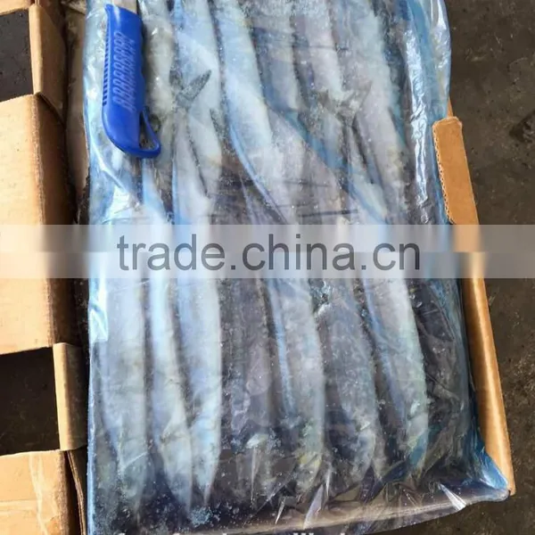 Low Price Seafood Frozen Saury photo-3
