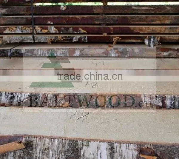 White Birch Lumber Unedged photo-3