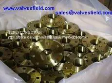 Steel Flanges photo-3