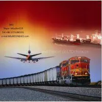 Road Freight Service/Freight Forwarder Shenzhen to Almaty Astana Kzakhstan photo-2
