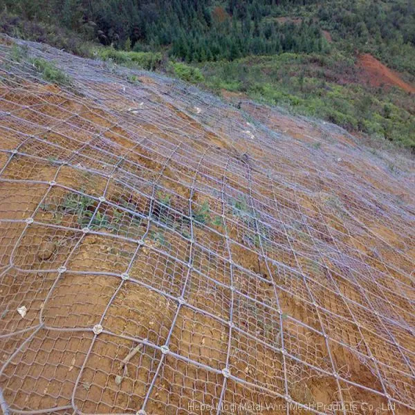 China Supplier Barbed Wire Fence for Protecting Slope Against Falling Stones photo-3
