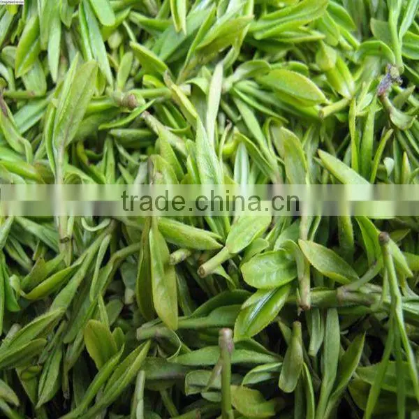 Jun Shan Yin Zhen Yellow Tea Organic Traditional Chinese Yellow Tea photo-2
