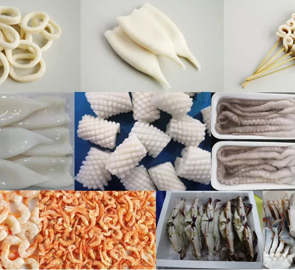 Hand Foods (Dalian) Co., Ltd. company overview - view 2