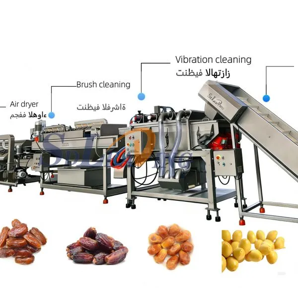 Automatic Industrial Palm Dates Processing Machine High Capacity Dates Washing Pitting Grading Drying Line for Dates Factory photo-5