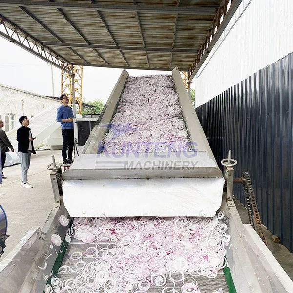 Automatic Onion Cleaning Slicing Drying and Grinding Production Line Onion Powder Making Machine