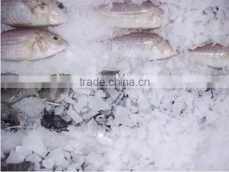 4.0T Large Capacity Fresh Water Ice Flake Maker Machine photo-4