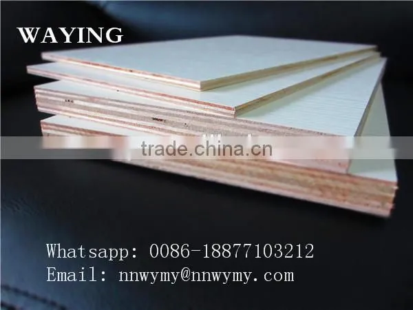 Sea Plywood photo-5