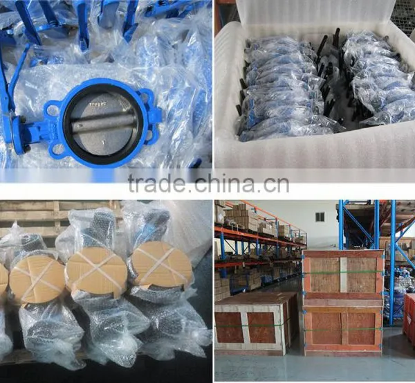 Dual Wafer Butterfly-type Check Valve's Manufacturer From Chinese Factory photo-3