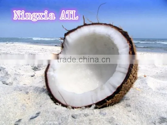 Top Quality Coconut Shell Activated Carbon Manufacture photo-2