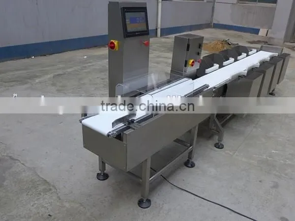 3-12 Level Weight Sorting Machine, Check Weigher to Sort and Weigh Chicken Breast Fillets. Ranging From 5g to 1500g. photo-3