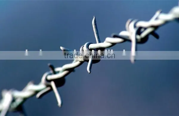 Low Price Good Quality Barbed Wire photo-5