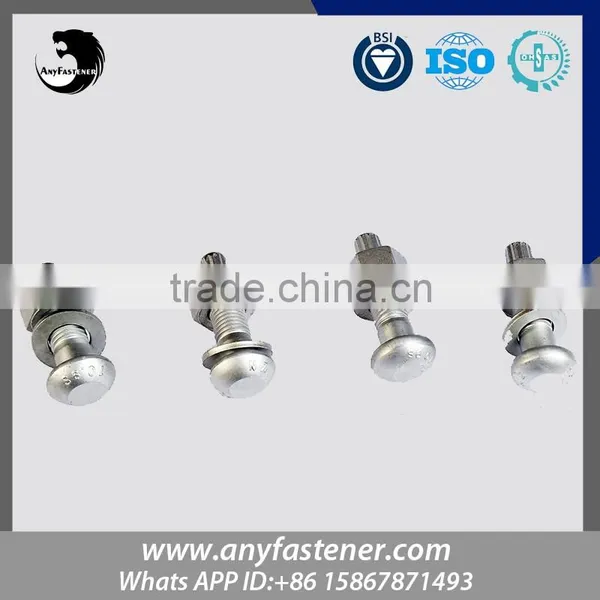 High Productivity High Tensile ASTM F I852A325/A490 TC Bolt and Nut photo-5