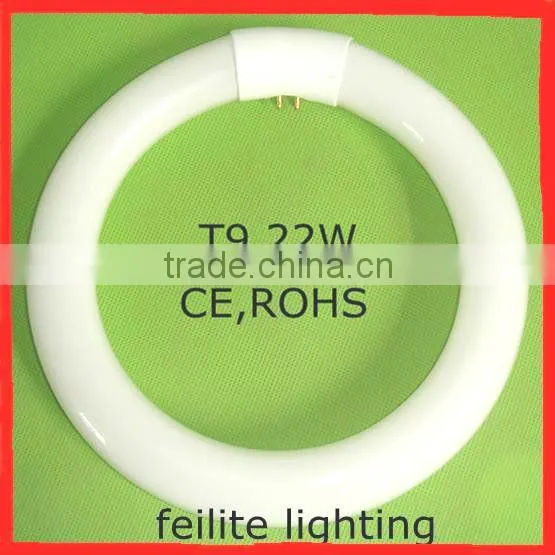 Light Source Fluorescent Lamp Tube T5/T6/T8/T9/T10/T12 photo-3