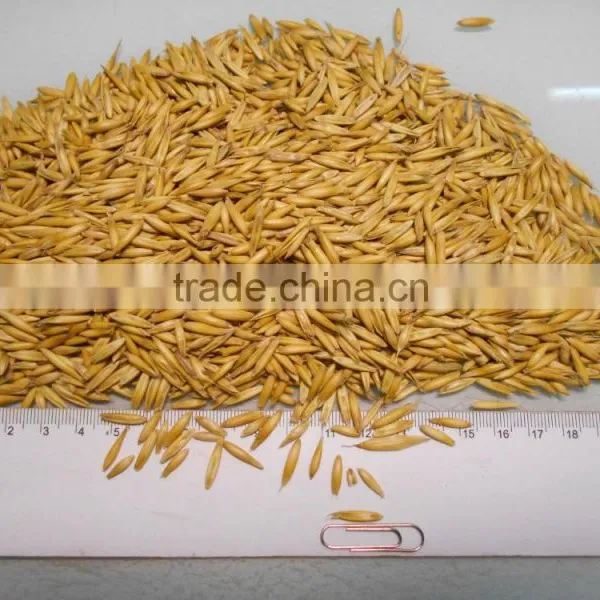 Oats