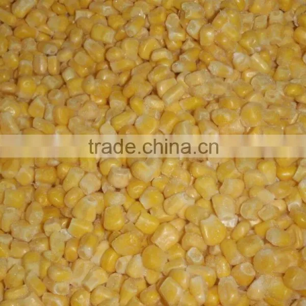 Frozen Sweet Corn Kernel IQF Sweet Corn Kerel Non GMO