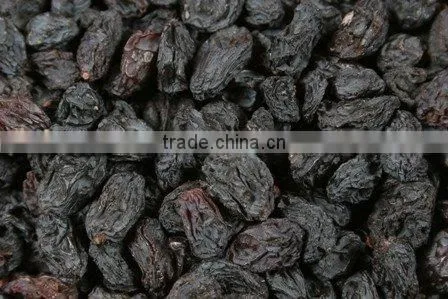 INDIAN BEST RATE BLACK RAISIN EXPORTER photo-3
