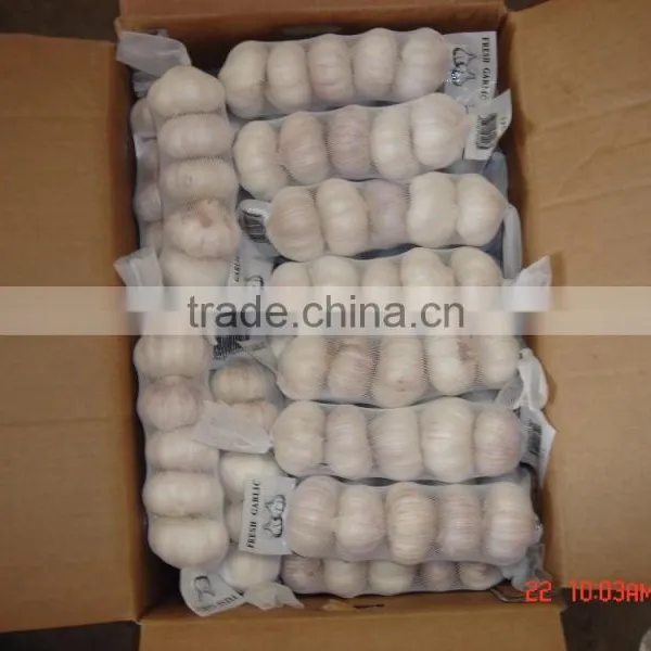 YUYUAN Brand Hot Sail Fresh Garlic Black Garlic/schwarzer Knoblauch