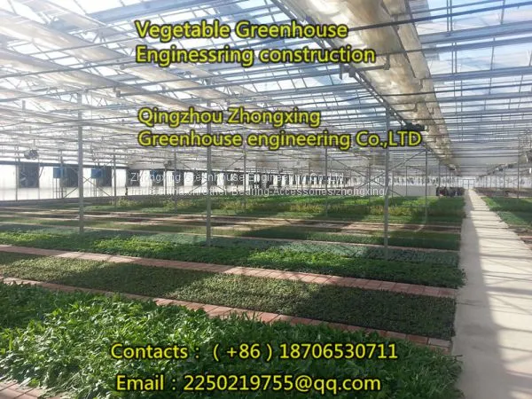 Grass Greenhouse, We Are Professional！ photo-4
