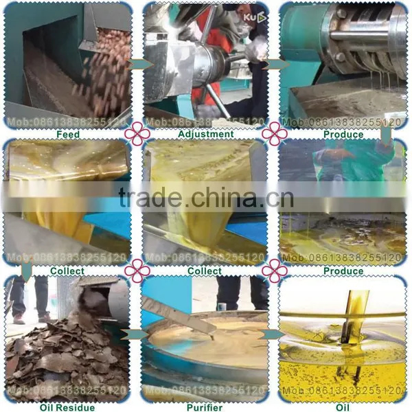 Machine Manufacturers Prickly Pear Seed Oil Extraction Machine photo-3