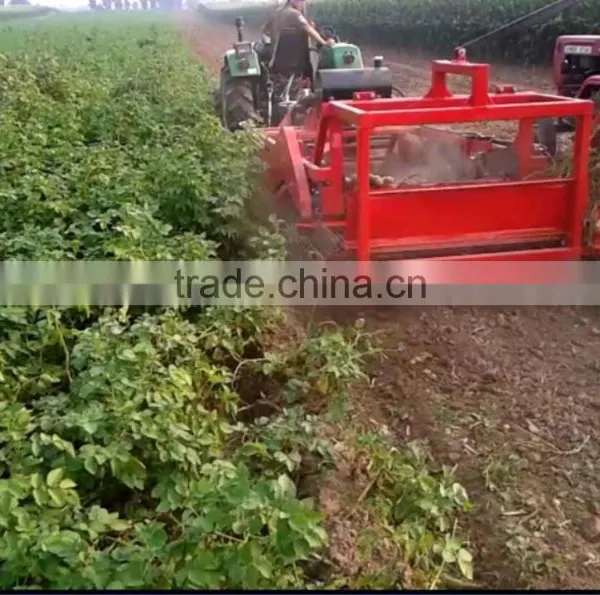 Good Price Top Quality Hydraulic Tractor PTO Use Automatic Two Rows Potato Combine Harvester Digger With CE Certification photo-6