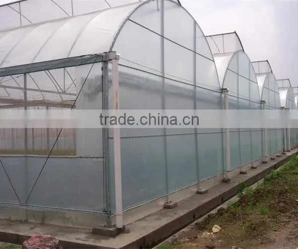 Hot Sale Multi Span Farm Machinery Greenhouse photo-3