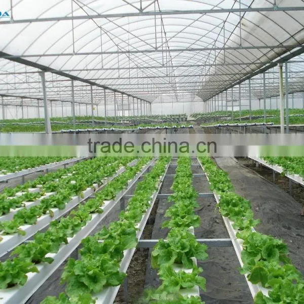 Cheap Flat Roof Greenhouse photo-6