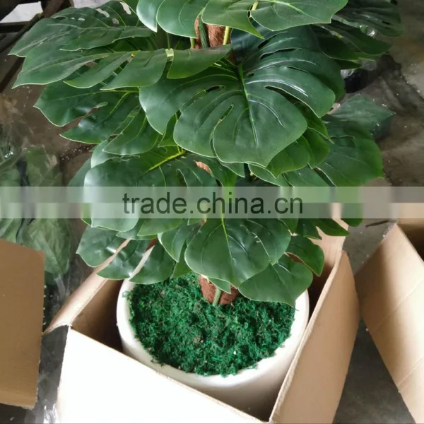 Decorative Artificial Plants Green Plants Wholesale photo-3
