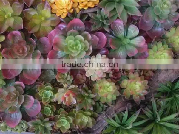 Home and Outdoor Decoration Synthetic Cheap Artificial Vertical Green Grass Succulent Wall E08 04C44 photo-2