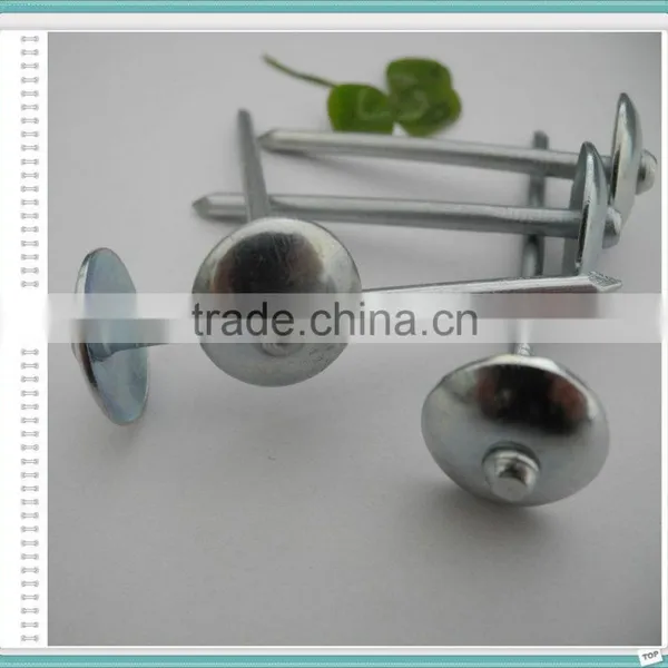 Corrugated Roofing Nails Manufacturers in China photo-4