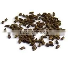 Cassia Tora From India photo-2