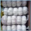 Pure White Garlic-1204