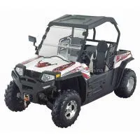 UTV250CC EFI
