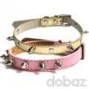 Pet Accessories - Dog Collars and Leashes